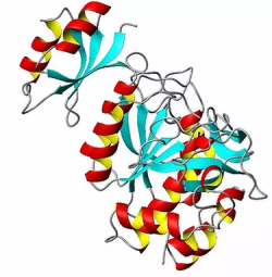 Potomac Affinity Proteins logo, Potomac Affinity Proteins contact details