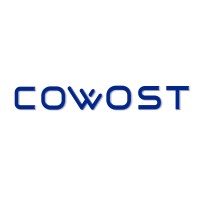 COWOST Mühendislik & Danışmanlık® logo, COWOST Mühendislik & Danışmanlık® contact details