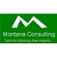 Montana Consulting logo, Montana Consulting contact details