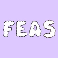 FEAS logo, FEAS contact details