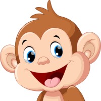 Best Book Monkey logo, Best Book Monkey contact details