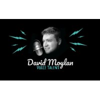 David Moylan Voice Overs logo, David Moylan Voice Overs contact details