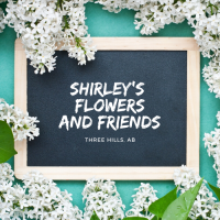 Shirley's Flowers and Friends logo, Shirley's Flowers and Friends contact details