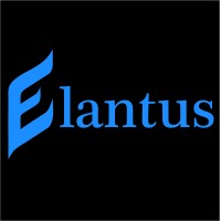 Elantus Consultoria e Treinamentos logo, Elantus Consultoria e Treinamentos contact details