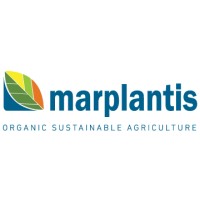 MARPLANTIS S.A. logo, MARPLANTIS S.A. contact details