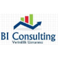 Business Intelligence Consulting logo, Business Intelligence Consulting contact details