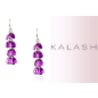 KALASH logo, KALASH contact details