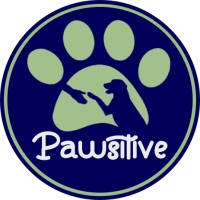 Pawsitive GMA logo, Pawsitive GMA contact details