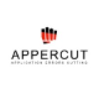 Appercut Security logo, Appercut Security contact details