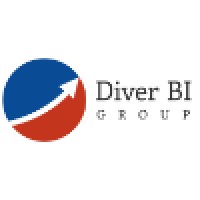 Diver BI Group logo, Diver BI Group contact details