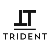 Trident Group Inc. logo, Trident Group Inc. contact details