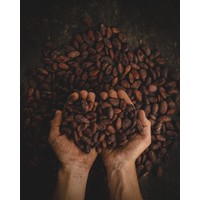 coffee beans logo, coffee beans contact details