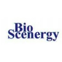 Bioscenergy International Group logo, Bioscenergy International Group contact details