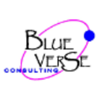 Blue Verse Consulting, LLC logo, Blue Verse Consulting, LLC contact details