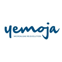 Yemoja Ltd. logo, Yemoja Ltd. contact details