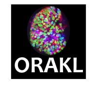 ORAKL logo, ORAKL contact details