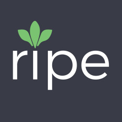 Ripe logo, Ripe contact details