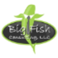 Big Fish Consulting, LLC logo, Big Fish Consulting, LLC contact details