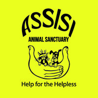 Assisi Animal Sanctuary logo, Assisi Animal Sanctuary contact details