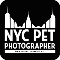 NYC Pet Photographer logo, NYC Pet Photographer contact details