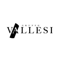 Vallesi SpA logo, Vallesi SpA contact details