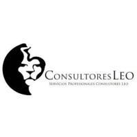 Consultores Leo logo, Consultores Leo contact details