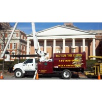 Baltimore Tree Experts logo, Baltimore Tree Experts contact details