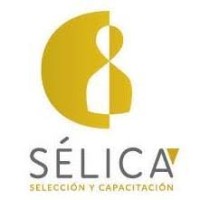 Selica logo, Selica contact details