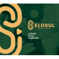 Elosul Distribuidora logo, Elosul Distribuidora contact details