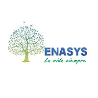 ENASYS CAPACITACIÓN logo, ENASYS CAPACITACIÓN contact details