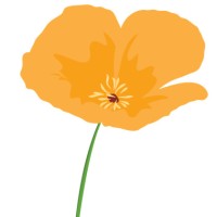 Wild Poppy Company logo, Wild Poppy Company contact details