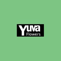 YuvaFlowers logo, YuvaFlowers contact details