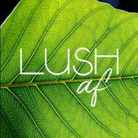 Lush Amazing Foliage logo, Lush Amazing Foliage contact details