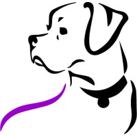 Fetch Pet Resort Australia logo, Fetch Pet Resort Australia contact details