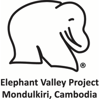 Elephant Valley Project logo, Elephant Valley Project contact details