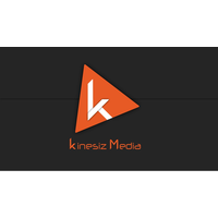 Kinesiz Media Pvt Ltd logo, Kinesiz Media Pvt Ltd contact details