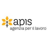 APIS Agenzia per il Lavoro logo, APIS Agenzia per il Lavoro contact details