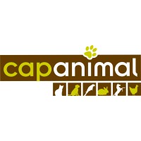 Cap Animal logo, Cap Animal contact details