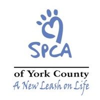 York County Spca logo, York County Spca contact details