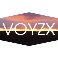 VOYZX Fine Art Project logo, VOYZX Fine Art Project contact details