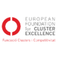 European Foundation for Cluster Excellence (EFCE) logo, European Foundation for Cluster Excellence (EFCE) contact details