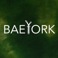 BAEYORK logo, BAEYORK contact details