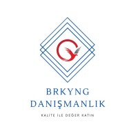 BRKYNG CONSULTING logo, BRKYNG CONSULTING contact details