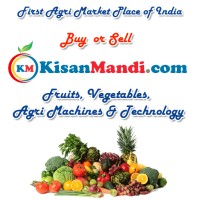 KISANMANDI ONLINE AGRI MARKET PVT LTD logo, KISANMANDI ONLINE AGRI MARKET PVT LTD contact details