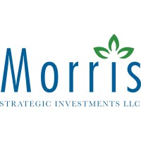 Morris Strategic Investments, LLC logo, Morris Strategic Investments, LLC contact details