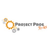 The Project Pros logo, The Project Pros contact details