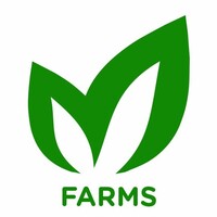 M Farms logo, M Farms contact details