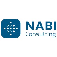 Nabi Consulting logo, Nabi Consulting contact details