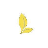 Spring Leaf Capital logo, Spring Leaf Capital contact details