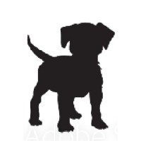 California Cattle Dogs logo, California Cattle Dogs contact details